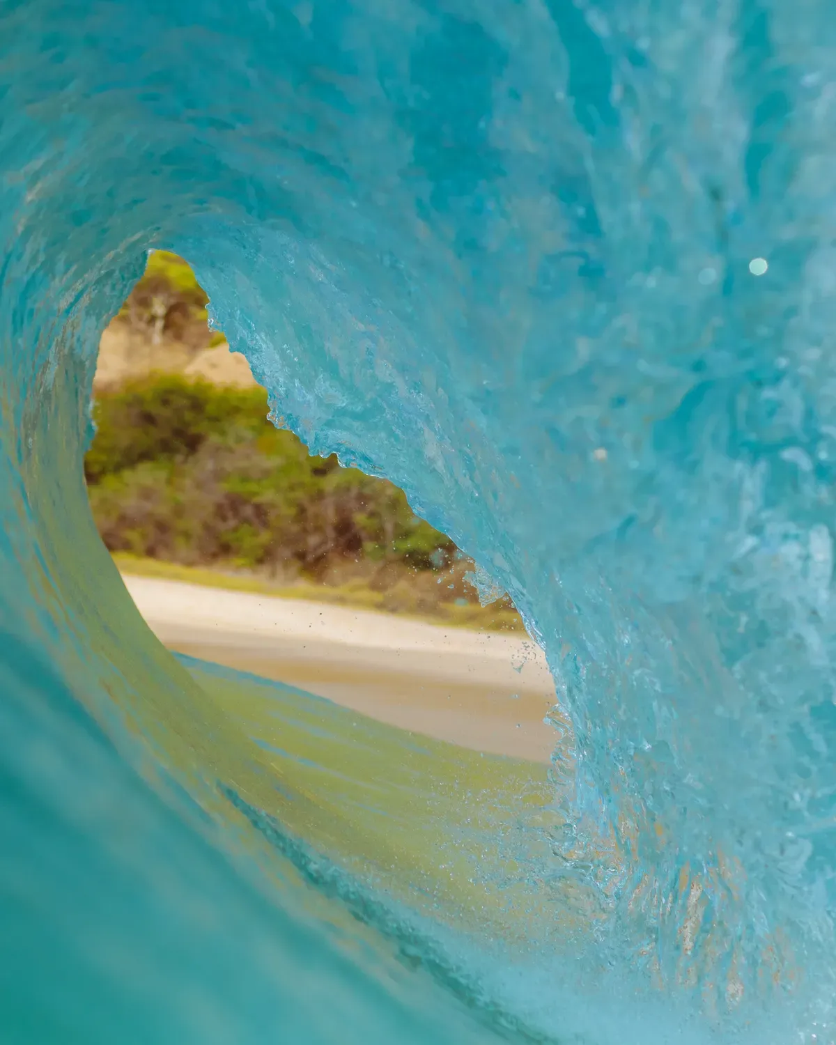 Vague turquoise qui se creuse, crête translucide éclairée à contre-jour et voile d'écume blanche